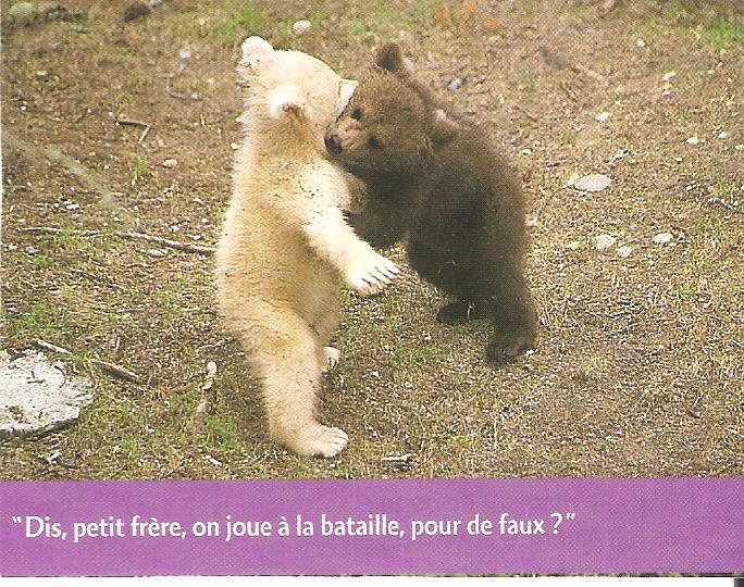 L'ours fait de l'humour - Page 2 Humour45