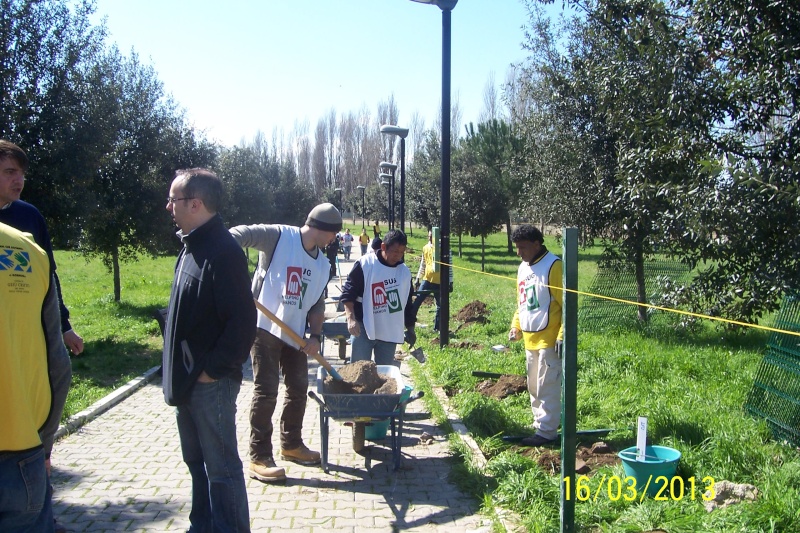 Giardini e Parchi pubblici di Settebagni - Pagina 5 100_1217