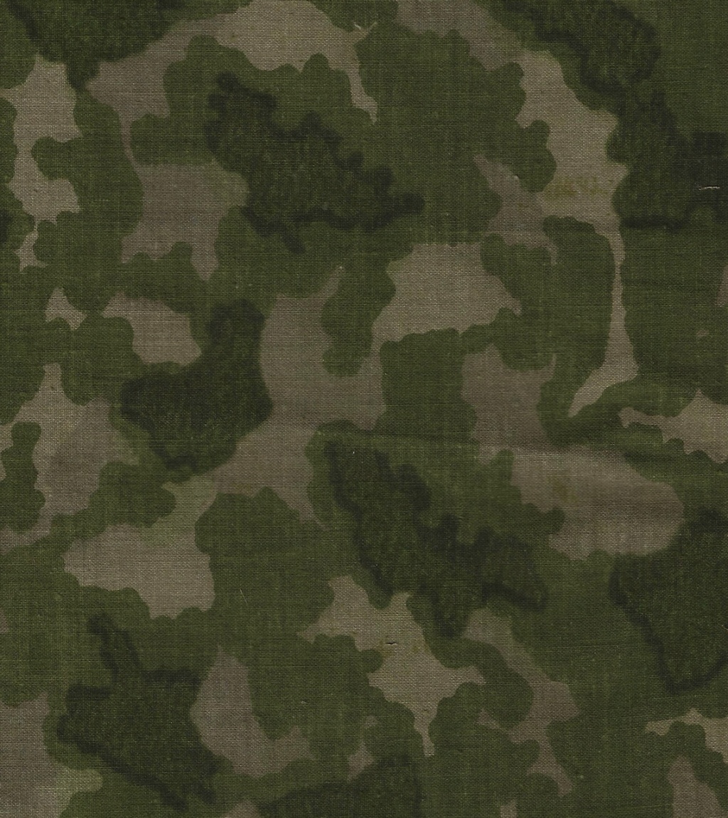 Possible DDR Experimental Camouflage Patterns