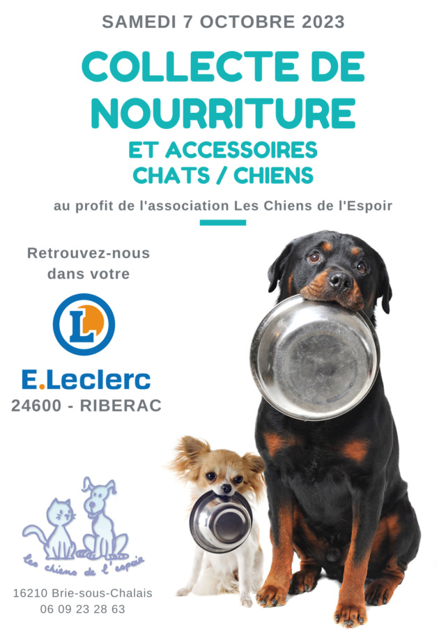 COLLECTE DE NOURRITURE chiens/chats 38224310