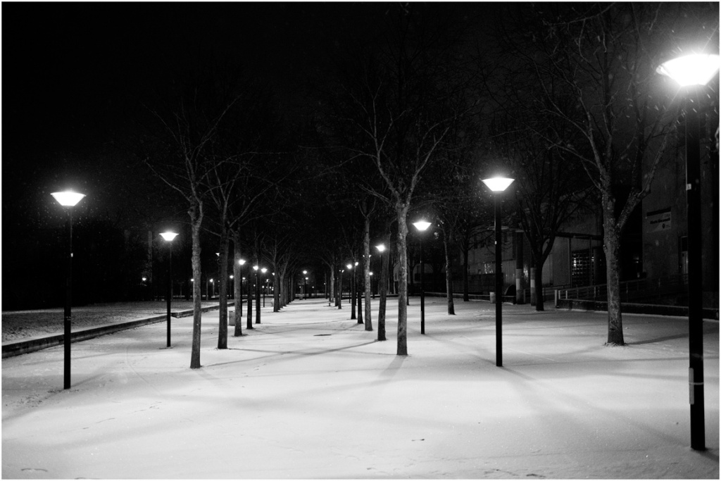 Le silence de la neige Neige610