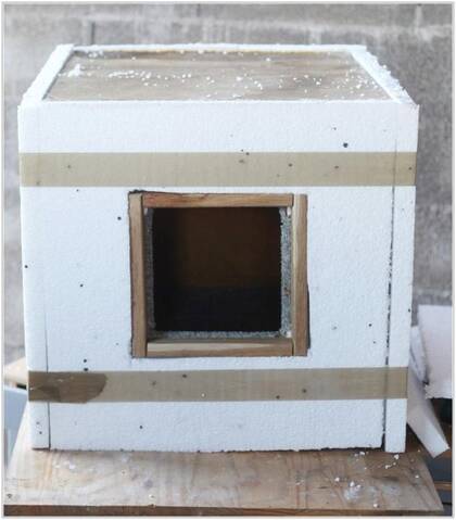 Abris De Fortune Pour Chats Nomades
