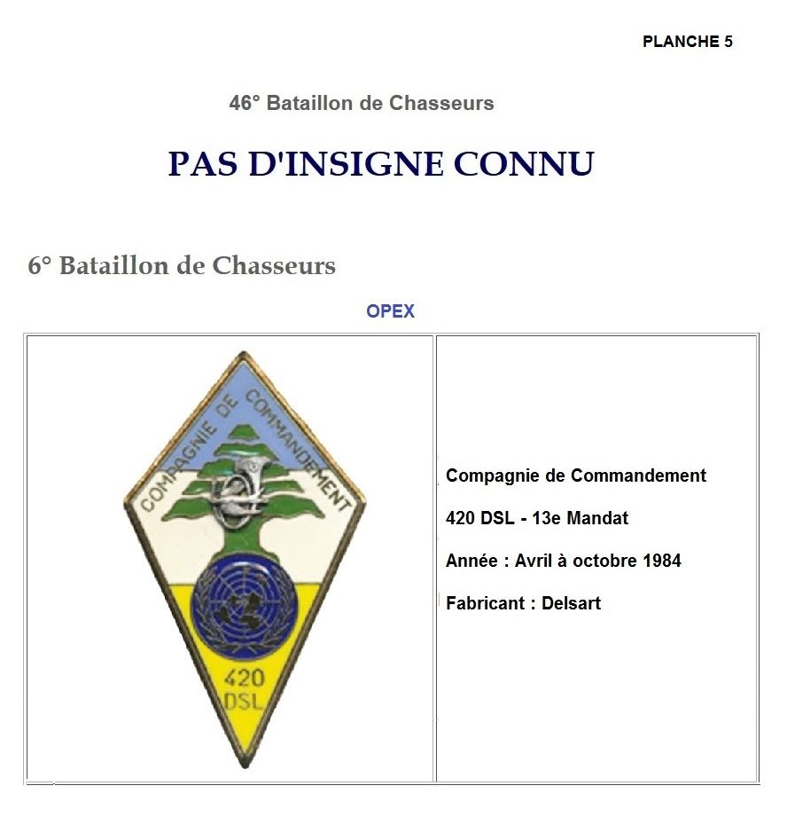 Les insignes de bataillons- Mise à jour... 6e_pla13