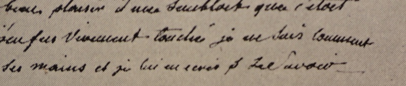 Le cryptage des lettres de Marie-Antoinette et Fersen - Page 33 Fersen13