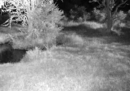 Post your Africam Pics - Page 9 Mwsnap11