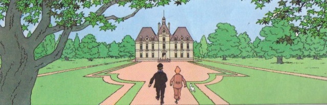 Assemblée générale 2011 - Page 2 Tintin10