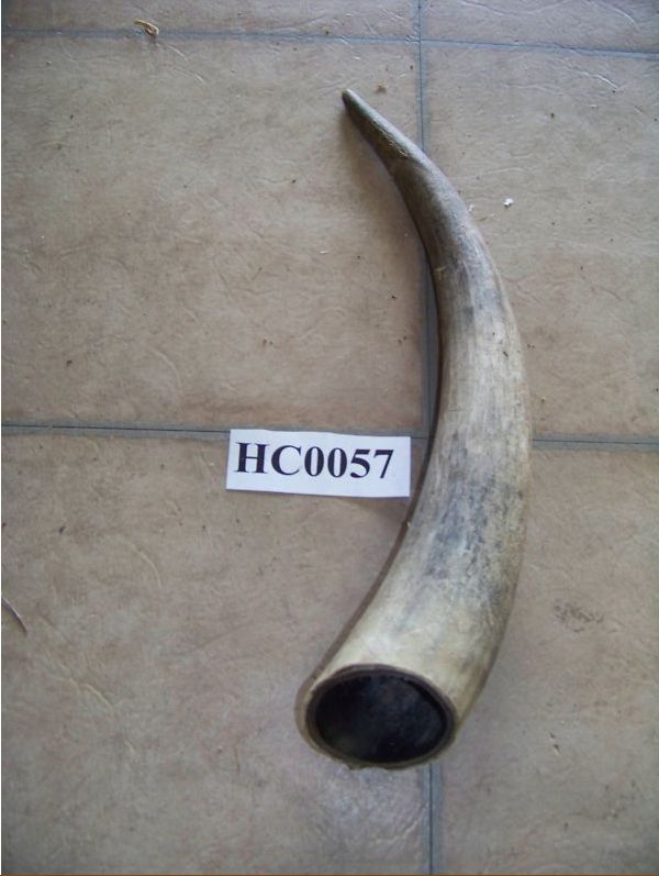 Making Horn and Sinew Prods? Cow210