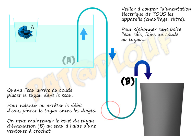 Pompe à eau Siphon10