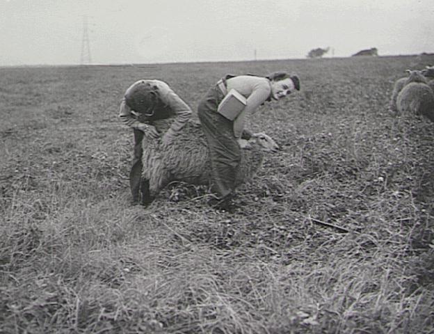 Les femmes et le matériel agricole Wla0710