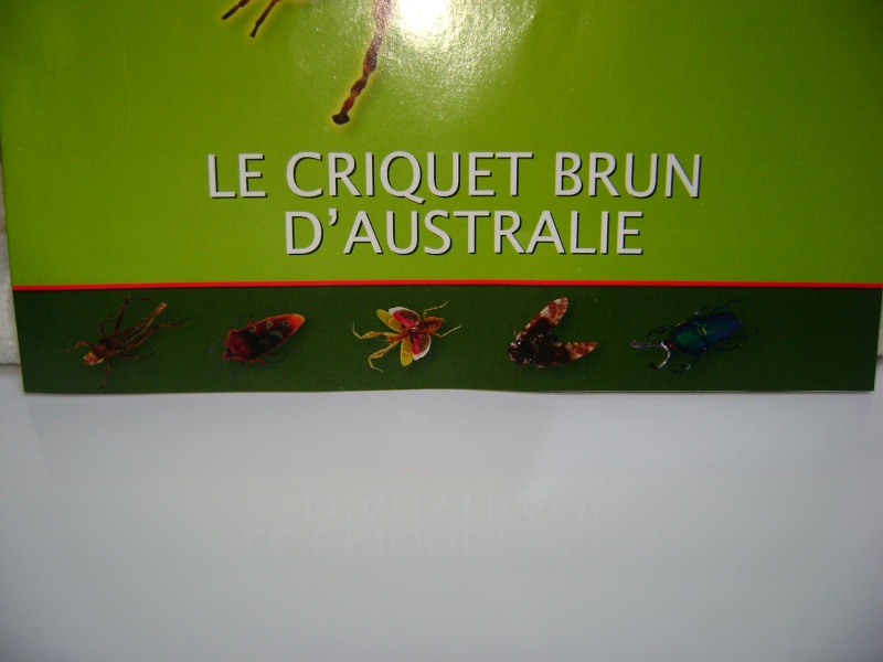 Nous faisons la collection des insectes géants et vous ? - Page 12 Dsc00213