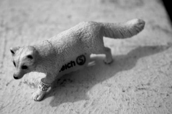 My Schleich's 2011 release 11110