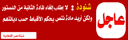 شنودة: إلغاء لا أريد إلغاء المادة الثانية من الدستور وأطالب بوجود مادة تنص بحكم الأقباط حسب ديانتهم  Egypt115