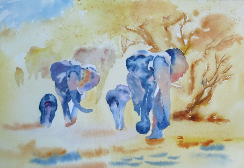 lphants, scnes d't, fleurs Alapha11