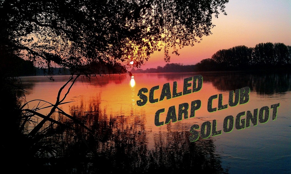 SCALED CARP CLUB SOLOGNOT
