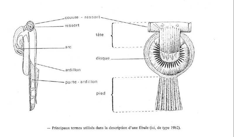lexique fibule Fibule10
