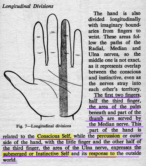 I - The thumb represents the inner essence of man! - Page 40 Beryl_10