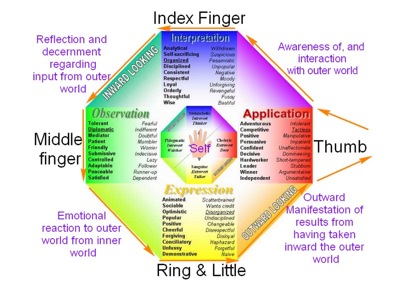 I - The thumb represents the inner essence of man! - Page 30 Chart_11