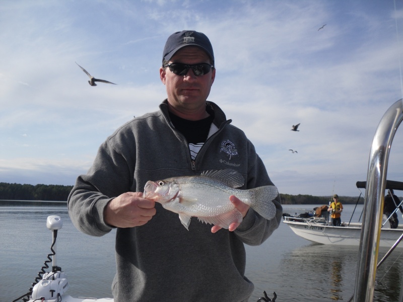 Jordan Lake Crappie Report Jordan10