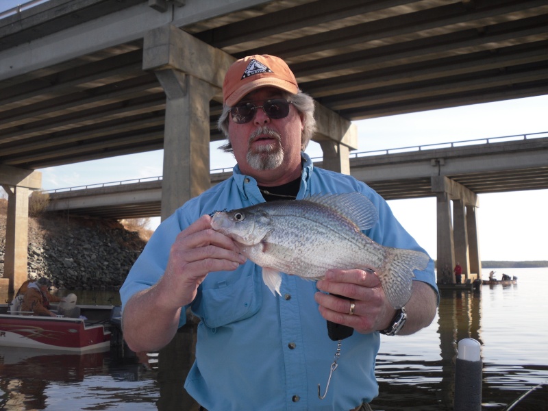 Jordan Lake Crappie Report Jordan11