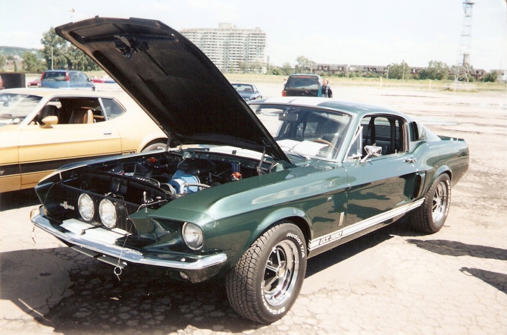 Montréal Mustang dans le temps! 1981 à aujourd'hui (Histoire en photos) - Page 8 1997-079