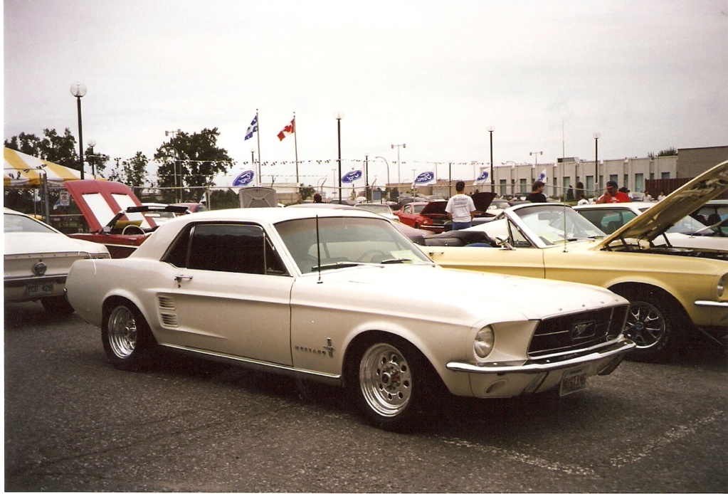 Montréal Mustang dans le temps! 1981 à aujourd'hui (Histoire en photos) - Page 9 1998-109