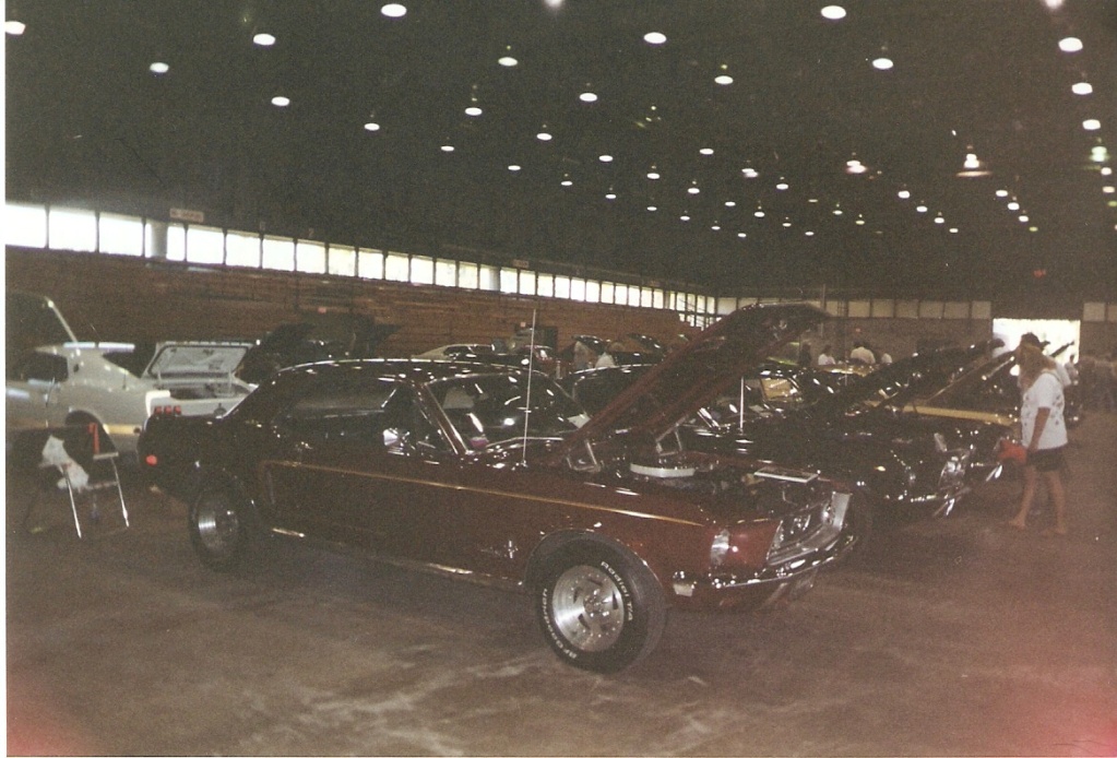 Montréal Mustang dans le temps! 1981 à aujourd'hui (Histoire en photos) - Page 9 1999-143