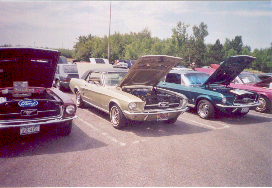 Montréal Mustang dans le temps! 1981 à aujourd'hui (Histoire en photos) - Page 10 2002-035