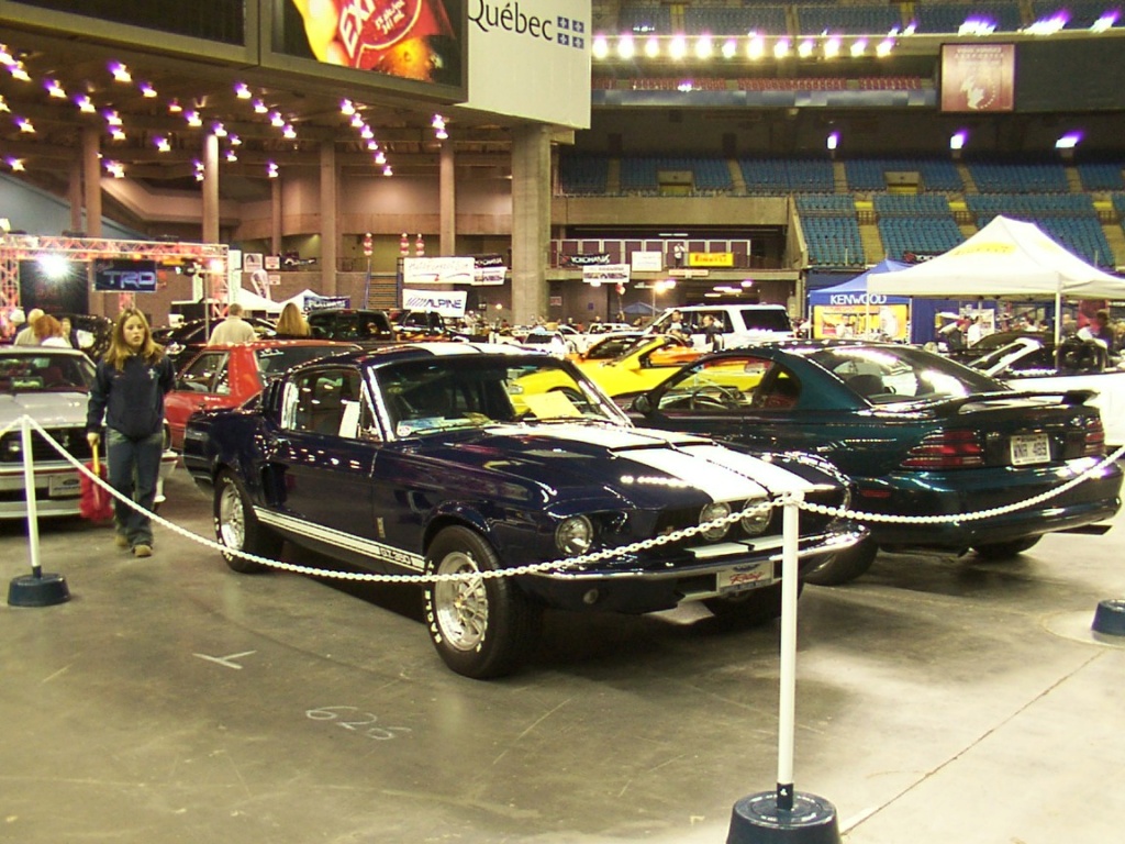 mustang - Montréal Mustang: 40 ans et + d’activités! (Photos-Vidéos,etc...) - Page 16 2003-018