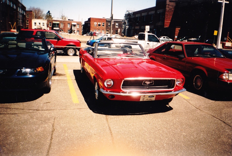 photo - Montréal Mustang: 40 ans et + d’activités! (Photos-Vidéos,etc...) - Page 16 2003-026