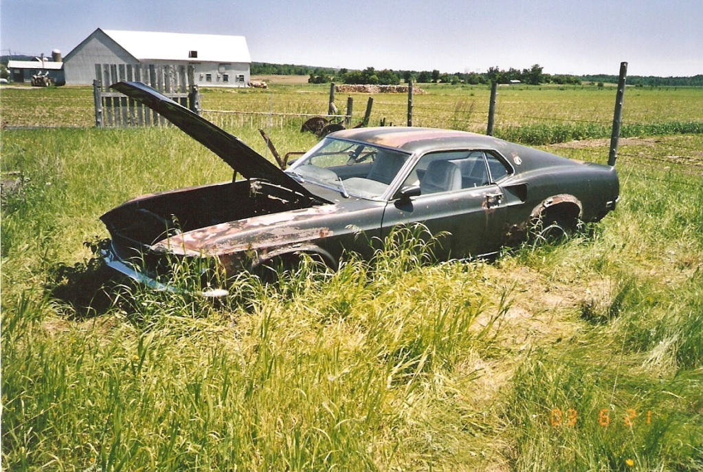 D'autre photos d'épave de Mustang 1967 1968 2003-t10