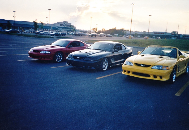 ford - Montréal Mustang: 40 ans et + d’activités! (Photos-Vidéos,etc...) - Page 16 2003-v10