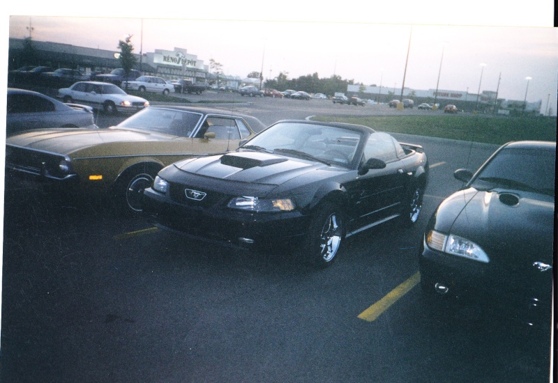 ford - Montréal Mustang: 40 ans et + d’activités! (Photos-Vidéos,etc...) - Page 16 2003-v12