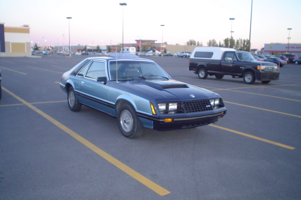 Montréal Mustang dans le temps! 1981 à aujourd'hui (Histoire en photos) - Page 13 2004-v13