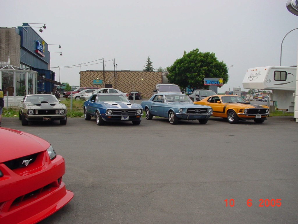 Montréal Mustang dans le temps! 1981 à aujourd'hui (Histoire en photos) - Page 13 2005-096