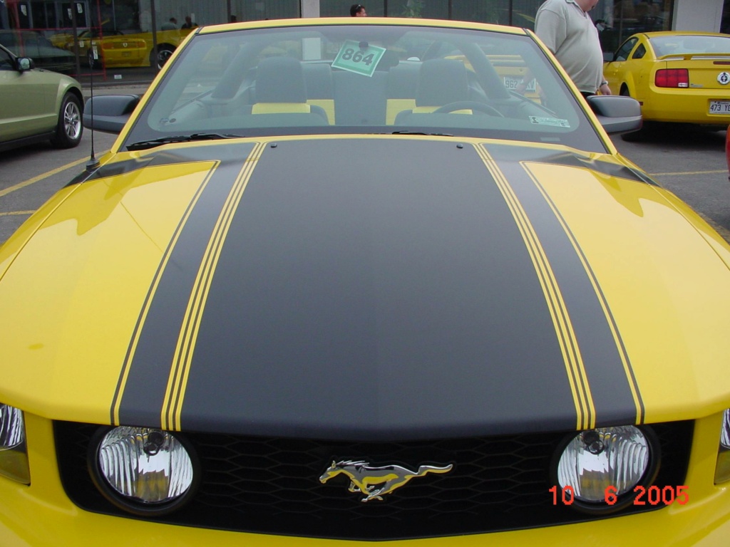ford - Montréal Mustang: 40 ans et + d’activités! (Photos-Vidéos,etc...) - Page 18 2005-126