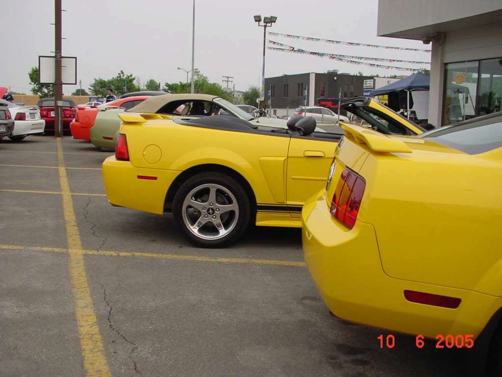 mustang - Montréal Mustang: 40 ans et + d’activités! (Photos-Vidéos,etc...) - Page 18 2005-128
