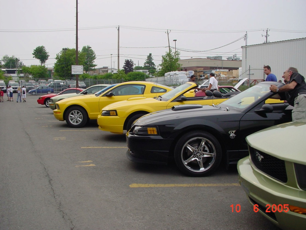 Montréal Mustang: 40 ans et + d’activités! (Photos-Vidéos,etc...) - Page 18 2005-137