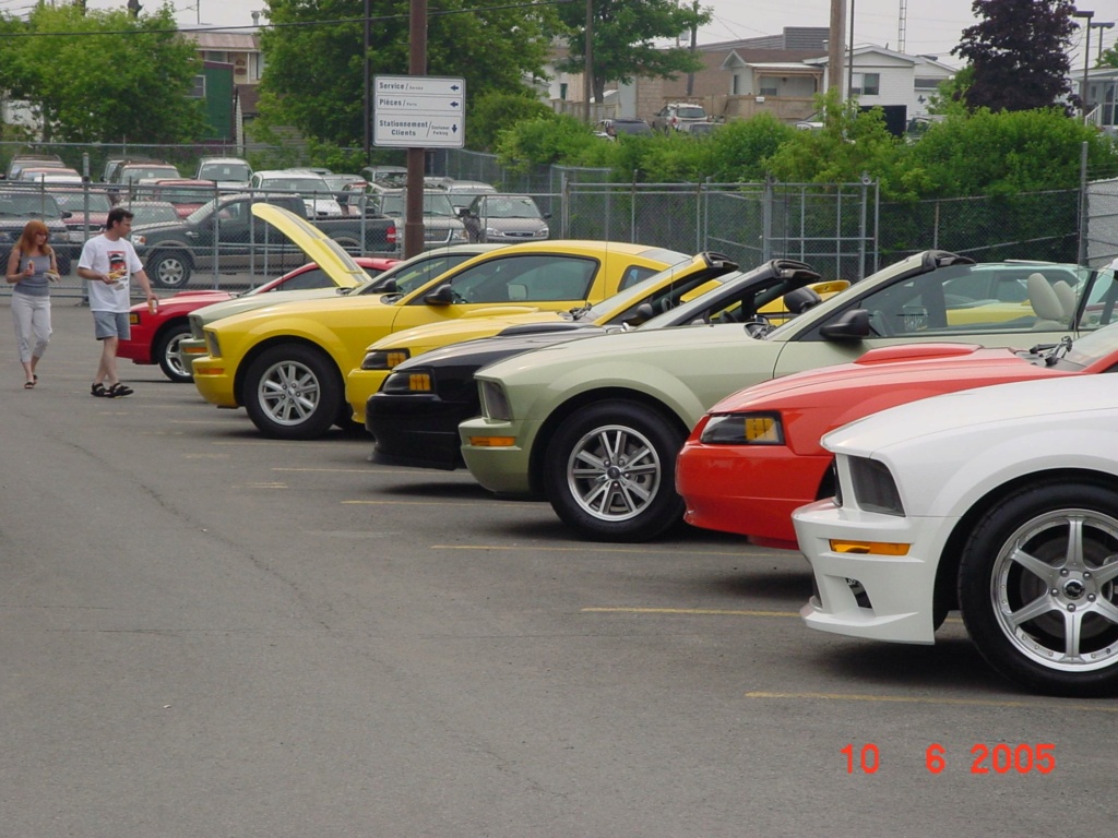 mustang - Montréal Mustang: 40 ans et + d’activités! (Photos-Vidéos,etc...) - Page 18 2005-142