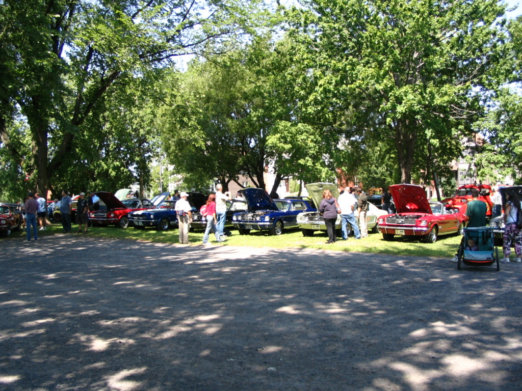 Montréal Mustang dans le temps! 1981 à aujourd'hui (Histoire en photos) - Page 15 2006-133