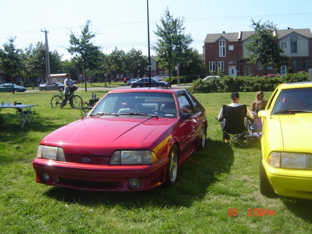 Montréal Mustang dans le temps! 1981 à aujourd'hui (Histoire en photos) - Page 15 2006-152