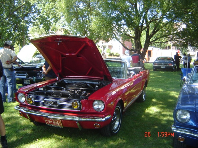 Montréal Mustang dans le temps! 1981 à aujourd'hui (Histoire en photos) - Page 15 2006-157