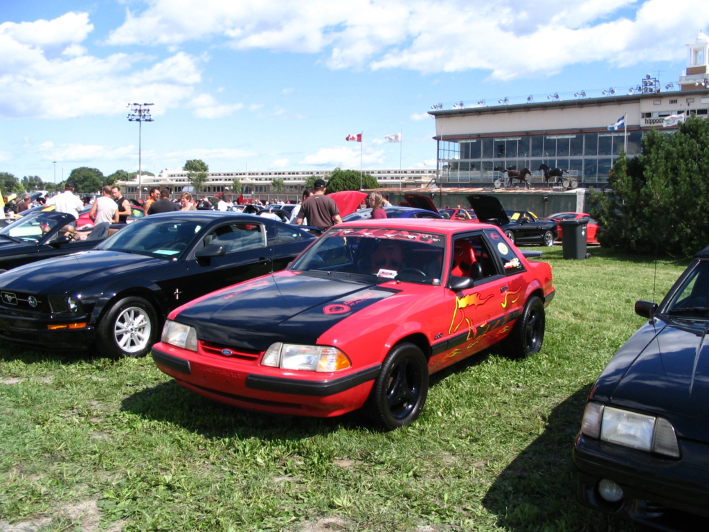mustang - Montréal Mustang: 40 ans et + d’activités! (Photos-Vidéos,etc...) - Page 19 Img_2633