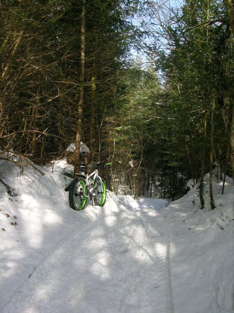 Les fat bikes - Page 3 Vers_l10