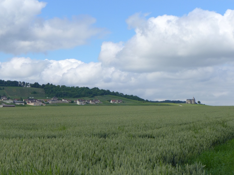 champagne - Champagne Bourgogne En_cha10