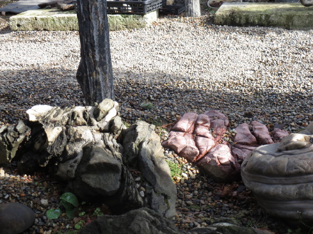 Stones in two of the gardens in Omiya Img_1952