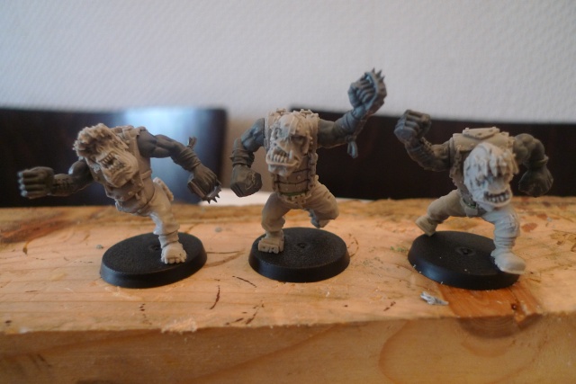 WIP - Equipe orc - "Los Guerrieros"  P1040514