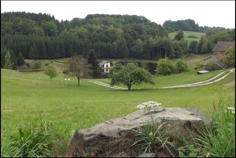 Promenades en Franche Comté - Page 33 613