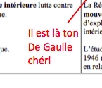 Histoire - Ferrand, Beylau, Zemmour, Domenach, Sotto et l'UMP : haro sur les allègements du programme d'histoire. - Page 19 Degaul10