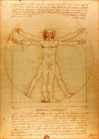 Léonard de Vinci ...l'homme universel . Leonar10