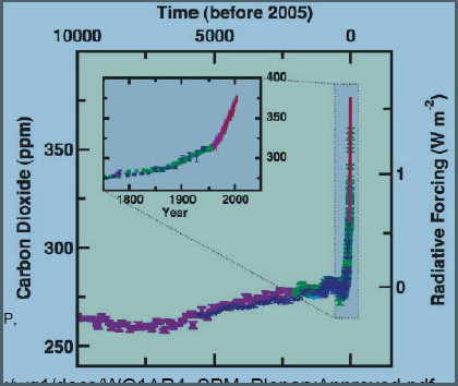 replicazione genetica - Pagina 2 Immagi10